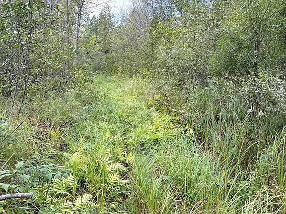 2nd image of Easement