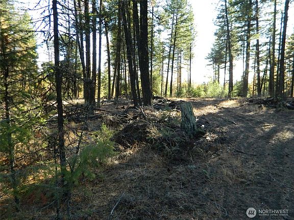 5th image of 0 TBD Summit Lake Road