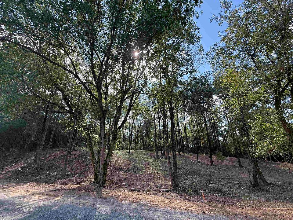 2nd image of 310 County Road 1123
