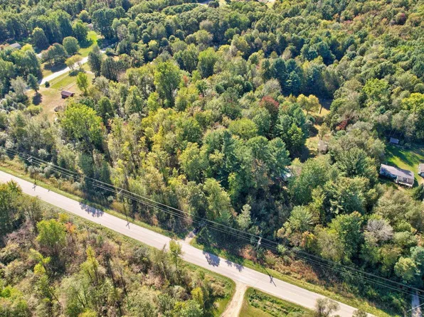 4910 Caine Rd, Vassar, MI 48768