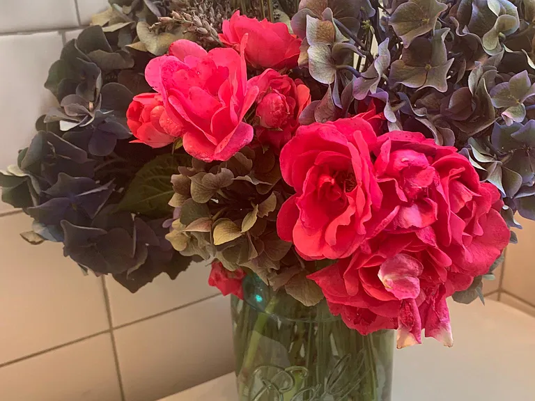 Hydrangeas, roses, lavender are all from the yard