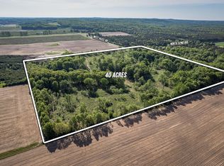 1231 N 52nd Ave, Mears, MI 49436