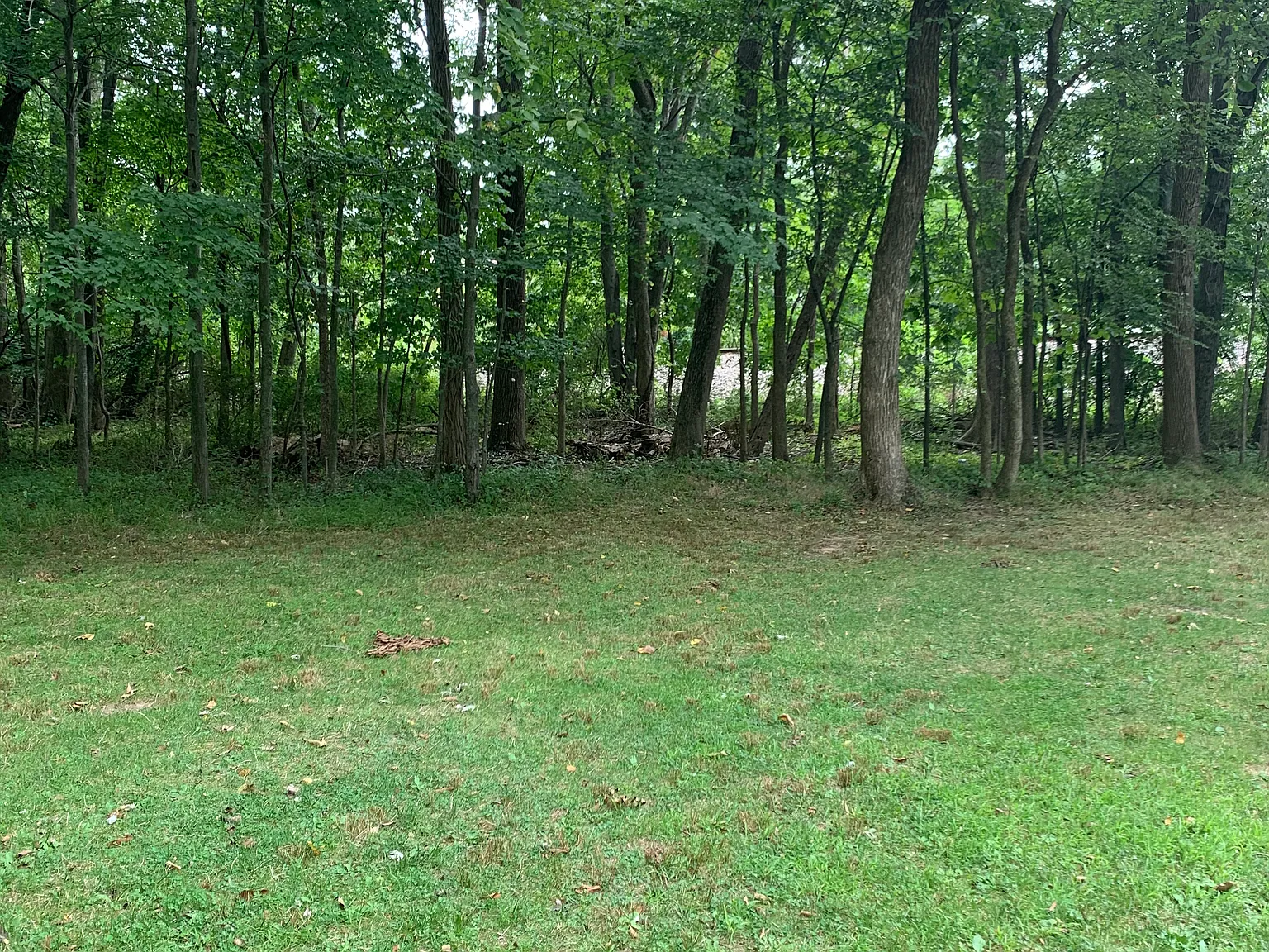 1 bed, $2,195 — Photo 3
