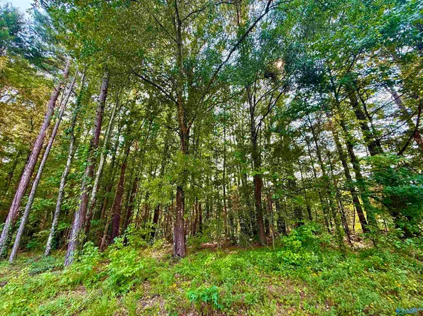 Herbert Rd, Hartselle, AL 35640