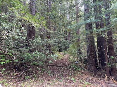3120 Austin Creek Rd, Cazadero, CA, 95421