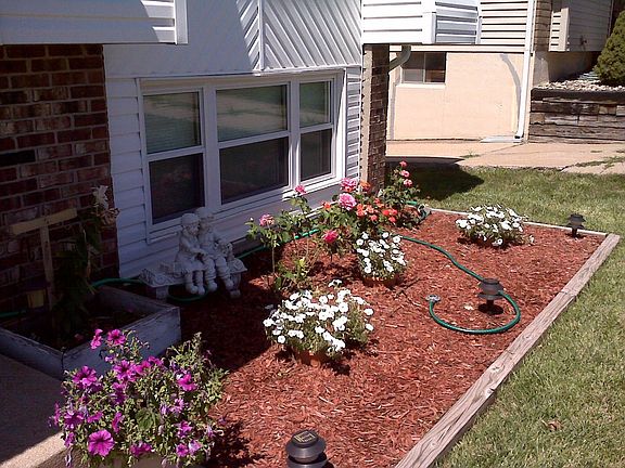 Close up of front flower bed