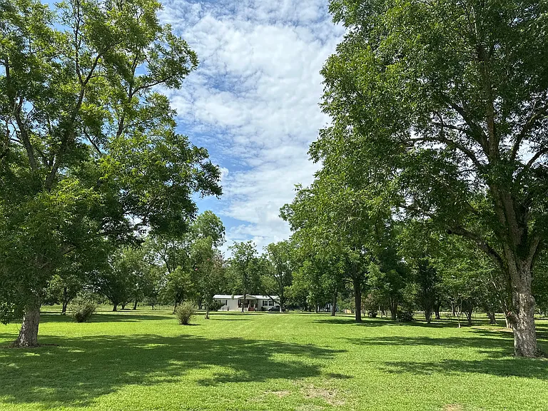 Front yard view of home. 108 mature pecan trees cover entire property.