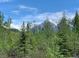 Kennicott River Tract 1414 #14, McCarthy, AK 99566