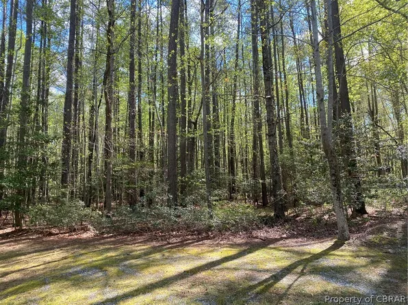 46 Eagles Trce #46, Lancaster, VA 22503