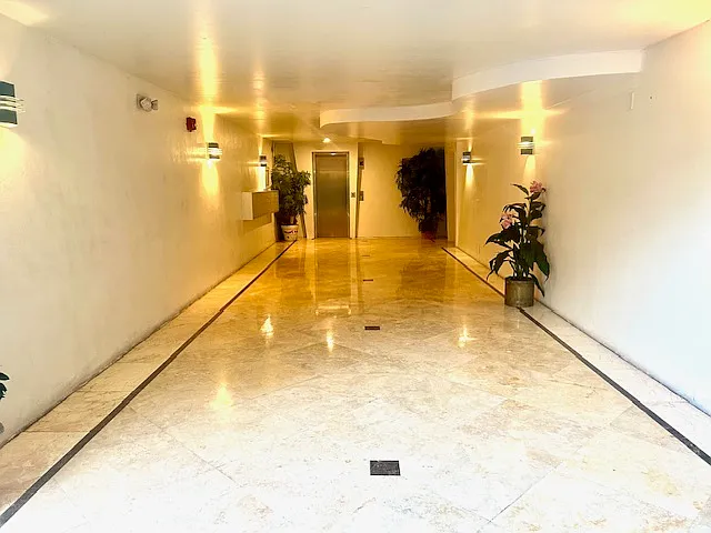 201 Jefferson Ave #3 — Photo 4