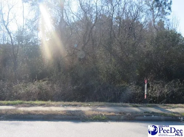 Willkinson Rd, Bishopville, SC 29010