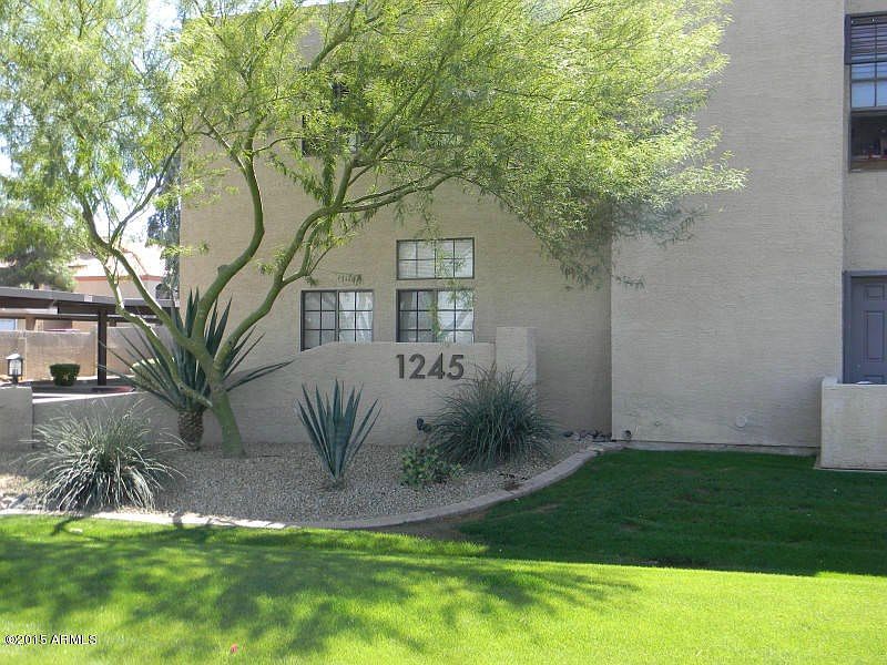 tempe 9