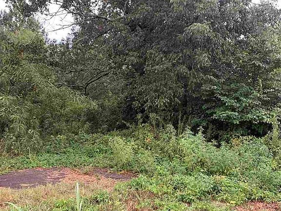 4th image of 5411 Highway 64 W