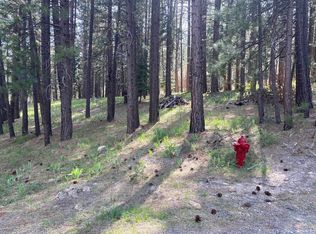 247 Gold Nugget Ln, Graeagle, CA 96103