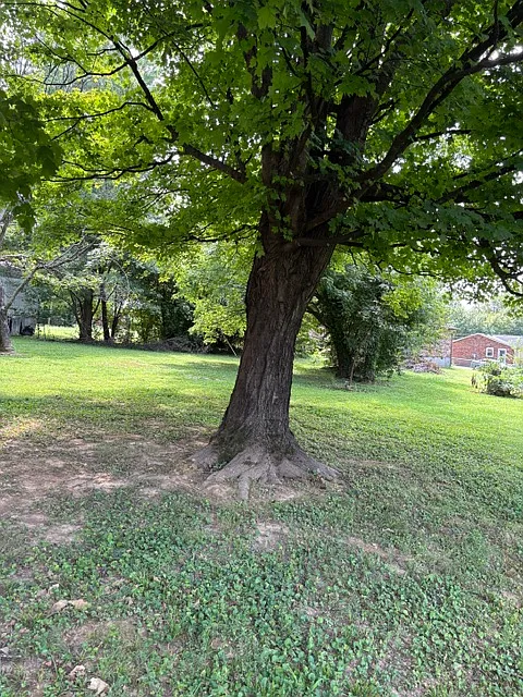 123 Stumphs Court - 1 — Photo 4