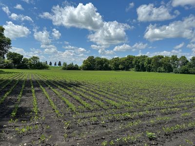 4th St, Echo, MN, 56237