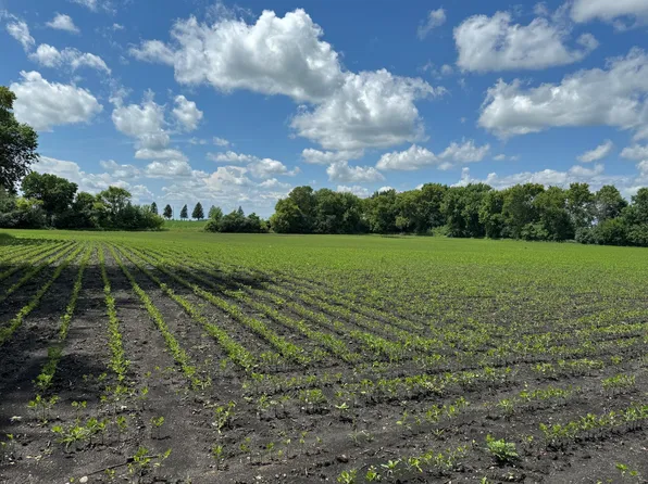 4th St, Echo, MN 56237