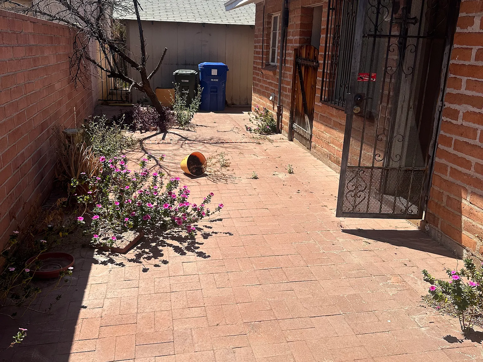 1156 N Belvedere Ave — Photo 2