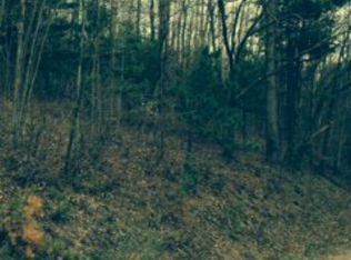 0 Hanshaw Rd, Addison, NY 14801