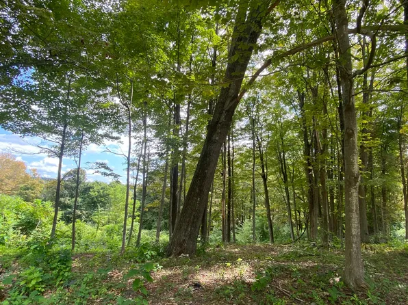 6 Kennedy Drive, Litchfield, CT 06778