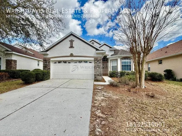 10226 Evergreen Hill Dr, Tampa, FL 33647