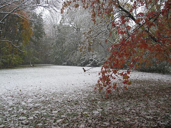 late fall snow
