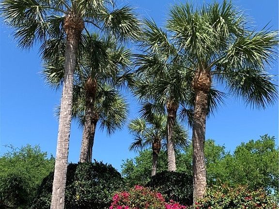 4th image of 9213 Coral Isle Way