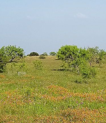 5th image of 5901 County Road 236