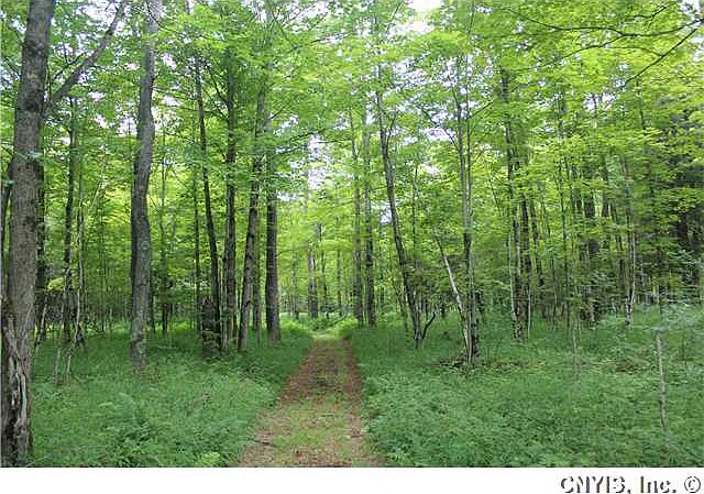 1st image of 10533 Balsam Creek Rd