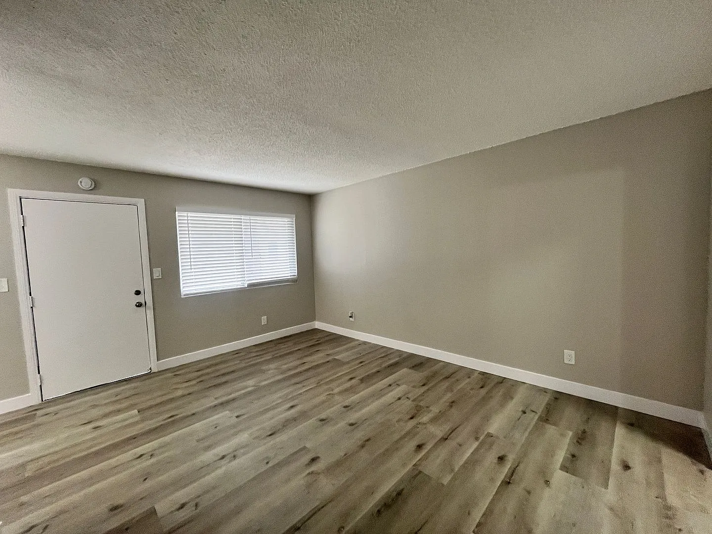 0033 BERRO ASSETS BUILDING — Photo 3