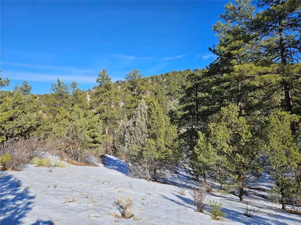 000 43rd Trail, Cotopaxi, CO 81223