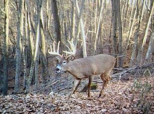 Echo Ridge Dr, Lewiston, MN 55952