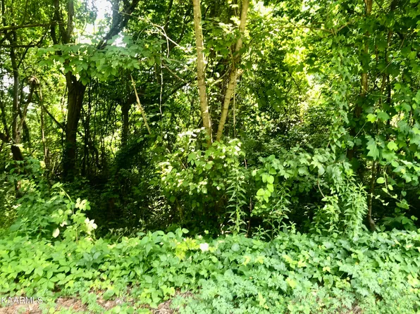 Opal St, Tazewell, TN 37879