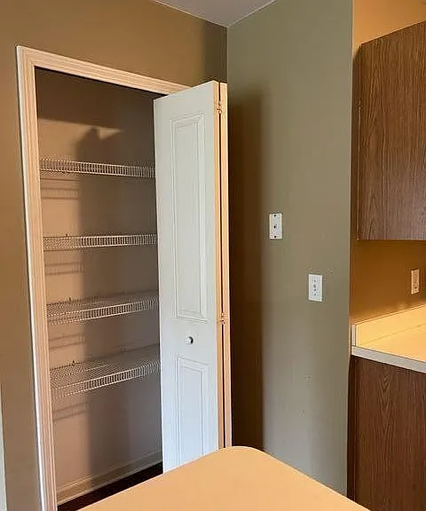 pantry in kitchen