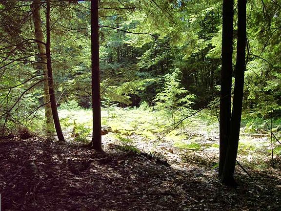 4th image of 0 Wildwood Ln