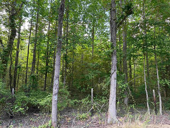 4th image of 10 Rose Creek Rd