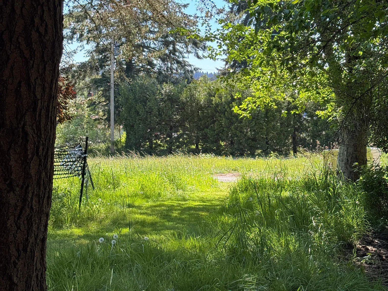 SW Cemetery Rd, Vashon — Photo 1