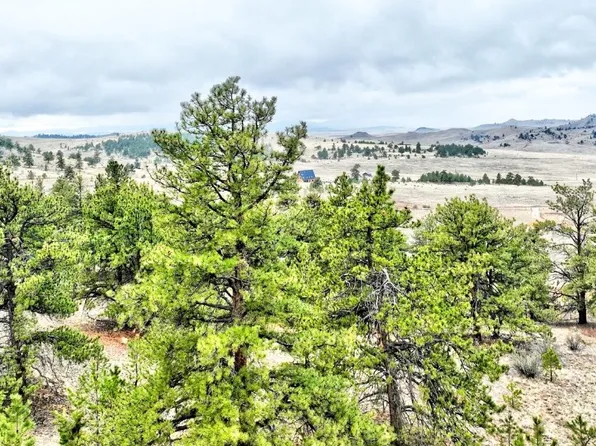 831 Cohonina Road, Hartsel, CO 80449