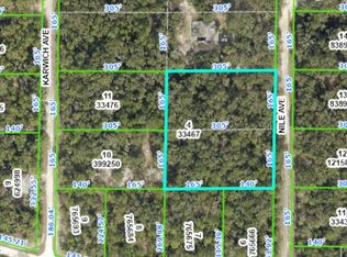 6341 Nile Ave, Webster, FL 33597