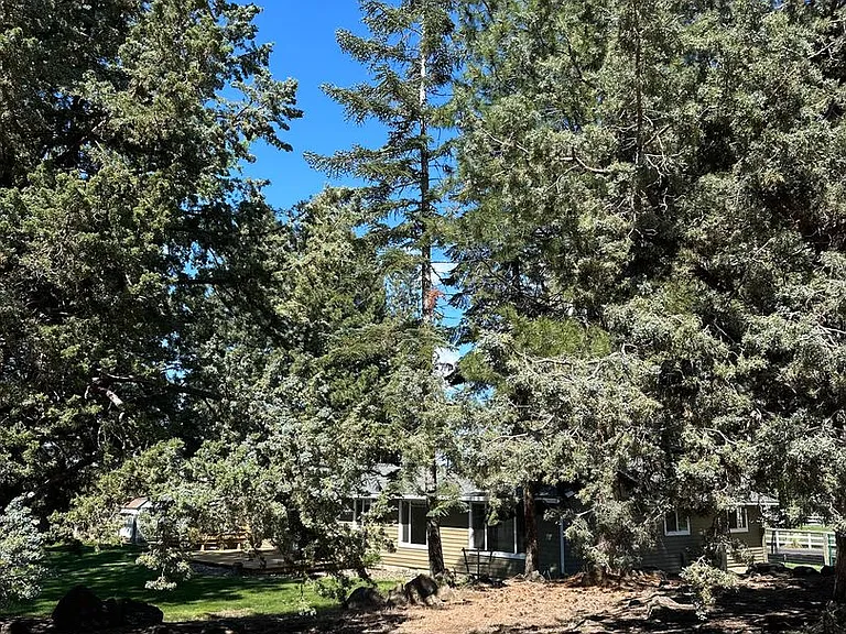 21700 Stud Ct — Photo 59