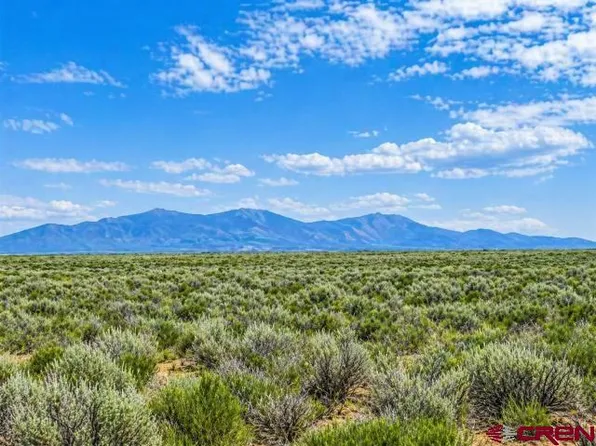 TBD COUNTY ROAD CC .25, La Jara, CO 81140