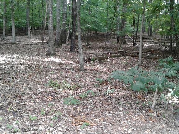 2nd image of 316 Golanvyi Trl Lot 2