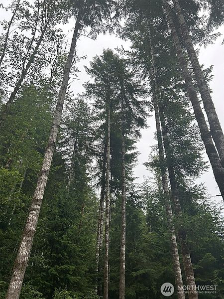 3rd image of 99 Highway 101