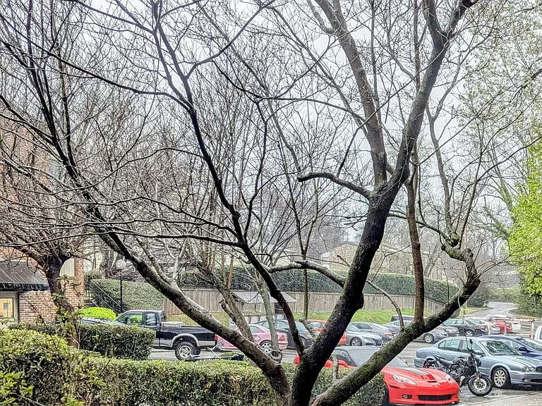 Ample Parking