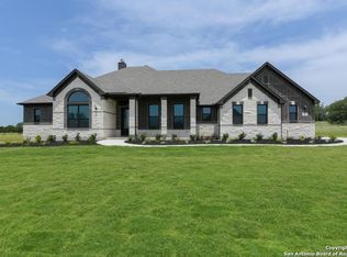 1121 Cape May Warbler, New Braunfels, TX 78132