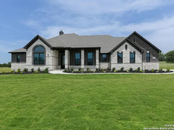 1121 Cape May Warbler, New Braunfels, TX 78132