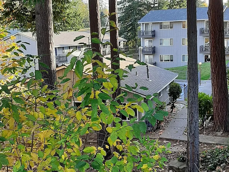 Alta Pointe — Photo 15