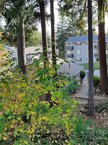 Alta Pointe Photo 1