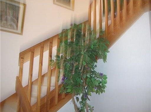 2nd image of 9685 Shadybrook Dr APT 202