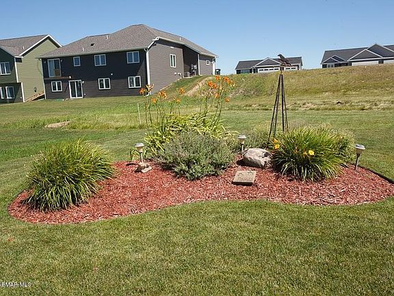 Backyard (2) 